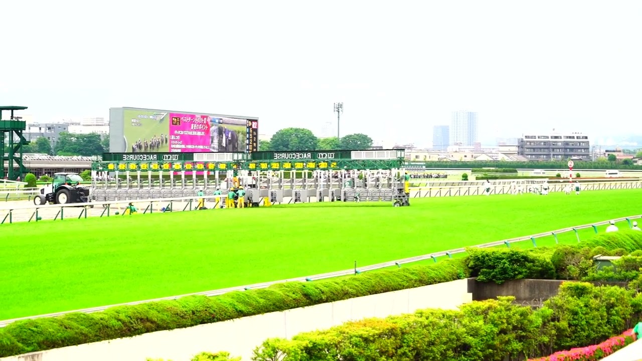 アコモさん G1　優駿牝馬　第85回 オークス