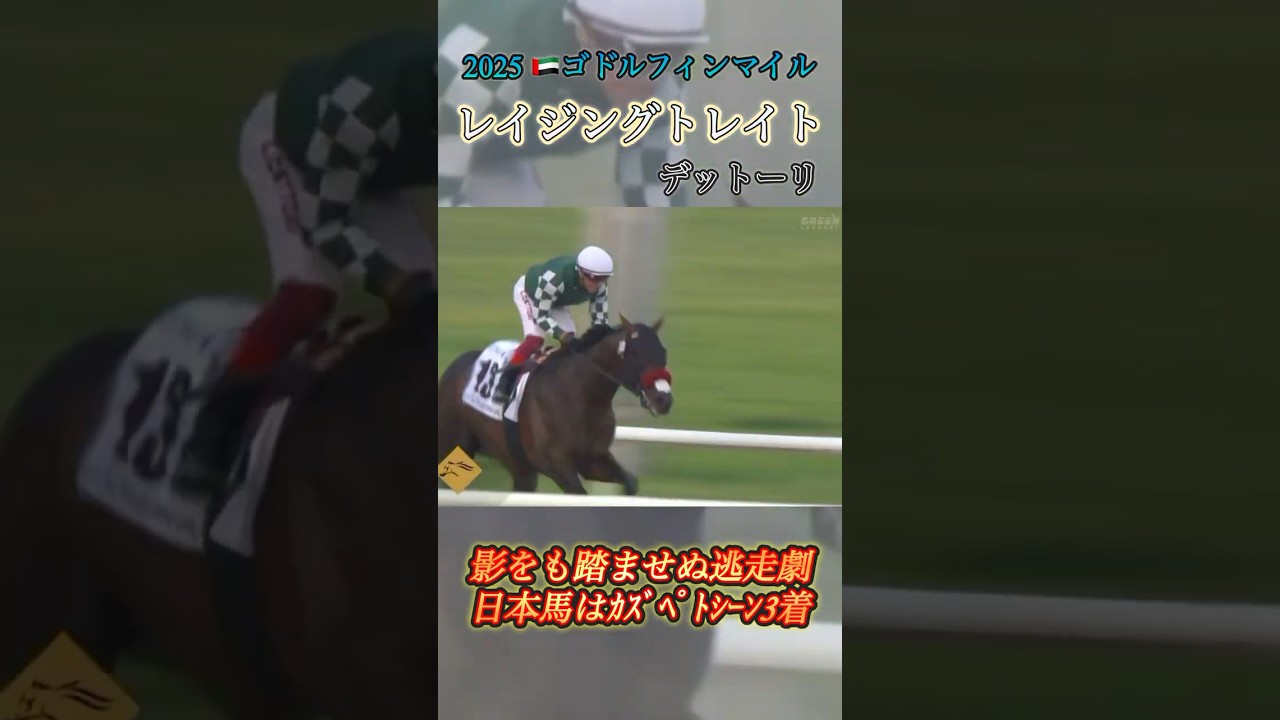 【🇦🇪ゴドルフィンマイル】レイジングトレント＆デットーリ　#競馬  #ゴドルフィンマイル  #レイジングトレント  #shorts