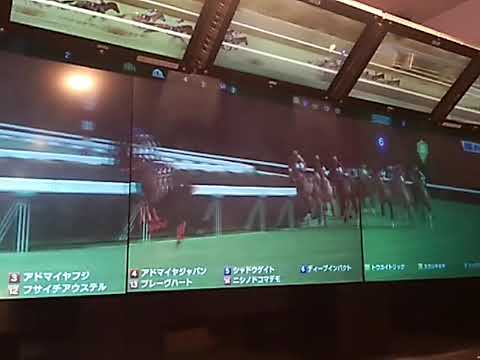 5カカシキセキ 菊花賞