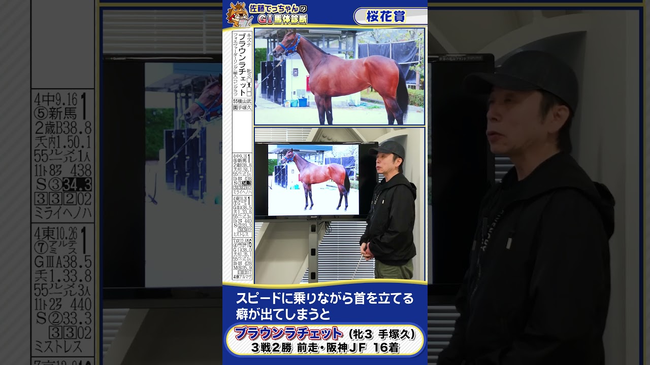 【2025年 桜花賞】ブラウンラチェット馬体診断　 #shorts #競馬 #予想