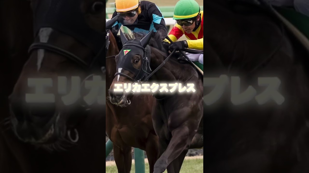 G1桜花賞の注目馬を３頭紹介＃競馬＃競馬予想＃エンブロイダリー＃エリカエクスプレス＃アルマヴェローチェ