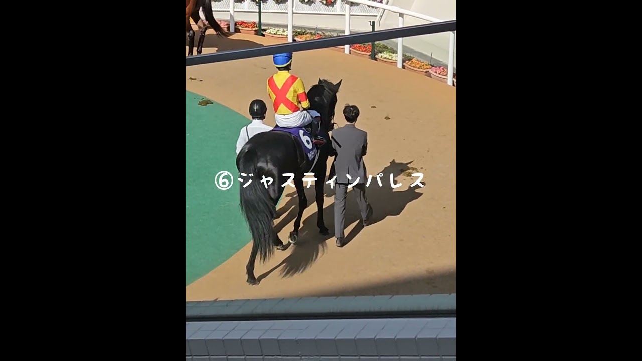 【大阪杯🐎ストーリー】2025.4.6 #競馬 #ベラジオオペラ #横山和生 #大阪杯 #阪神競馬場 #京都女性漢方まつみ薬局 #shorts @matsumi-drug-kyoto
