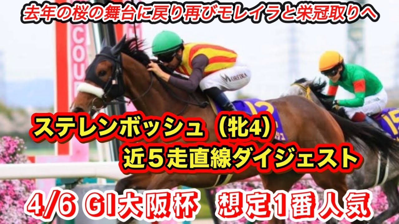 【ステレンボッシュ】GI大阪杯想定1番人気！近5走直線ダイジェスト