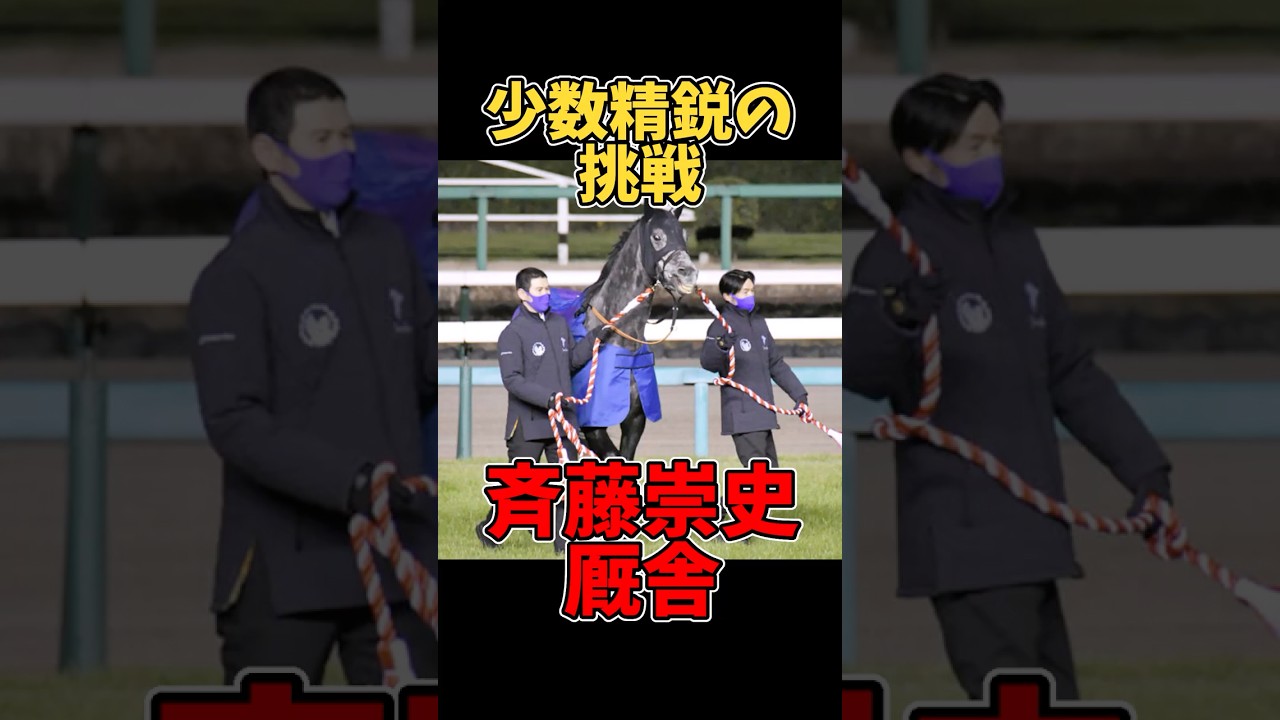 【競馬】斉藤崇史厩舎 少数精鋭の挑戦 #斉藤崇史厩舎 #現役厩舎 #競馬 #ホープフルステークス #有馬記念 #キラーアビリティ #クロワデュノール #クロノジェネシス
