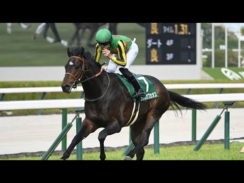 【重賞】第34回チャーチルダウンズC(NHKマイルカップトライアル)実況[優勝馬　ランスオブカオス　吉村誠之助騎手]