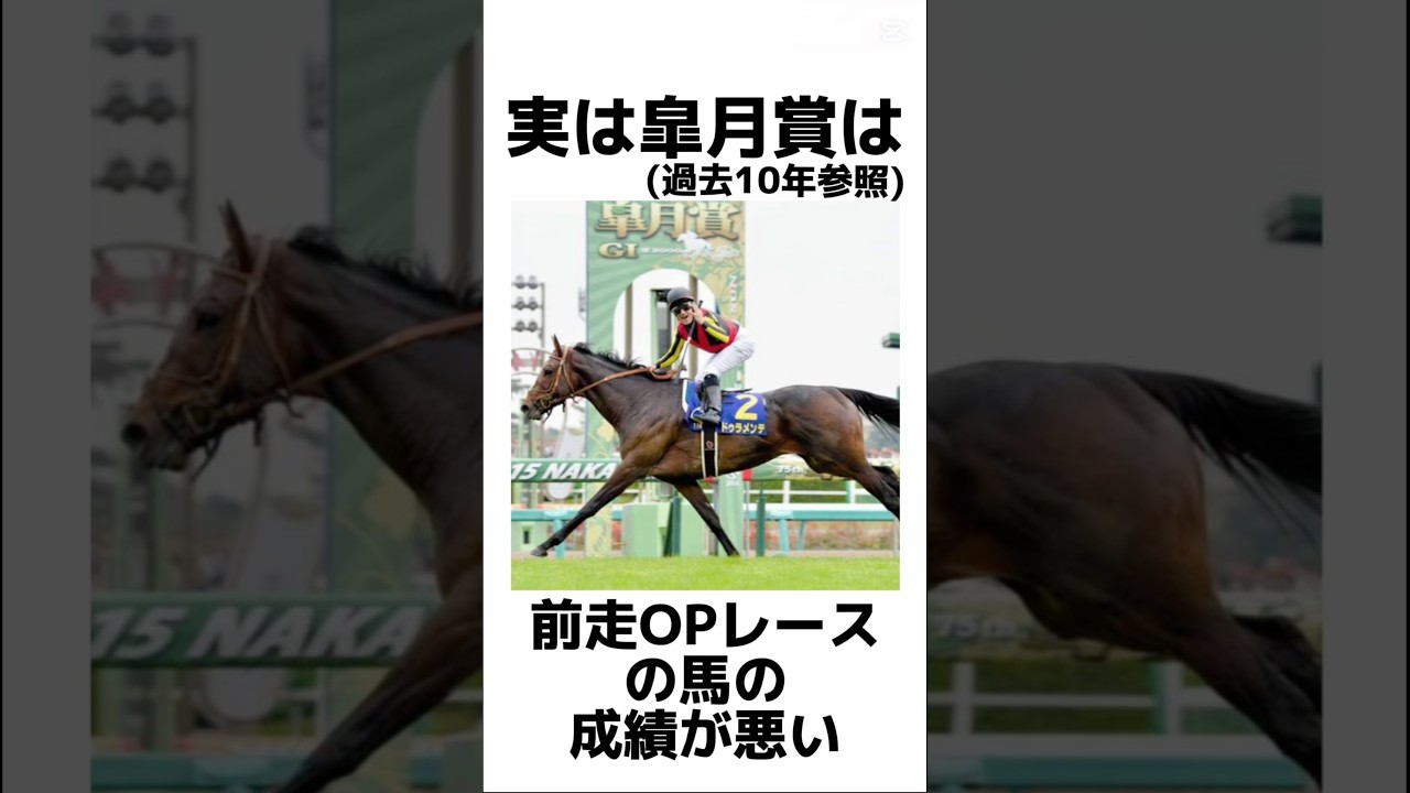 知らないと損💦皐月賞2025データ雑学‼️これで100倍皐月賞が楽しめる！#皐月賞2025 #皐月賞 #競馬