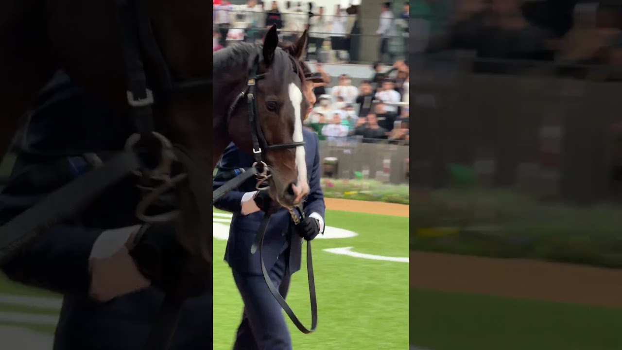 ソウルラッシュ🐴マイルCSで悲願のGI制覇‼️