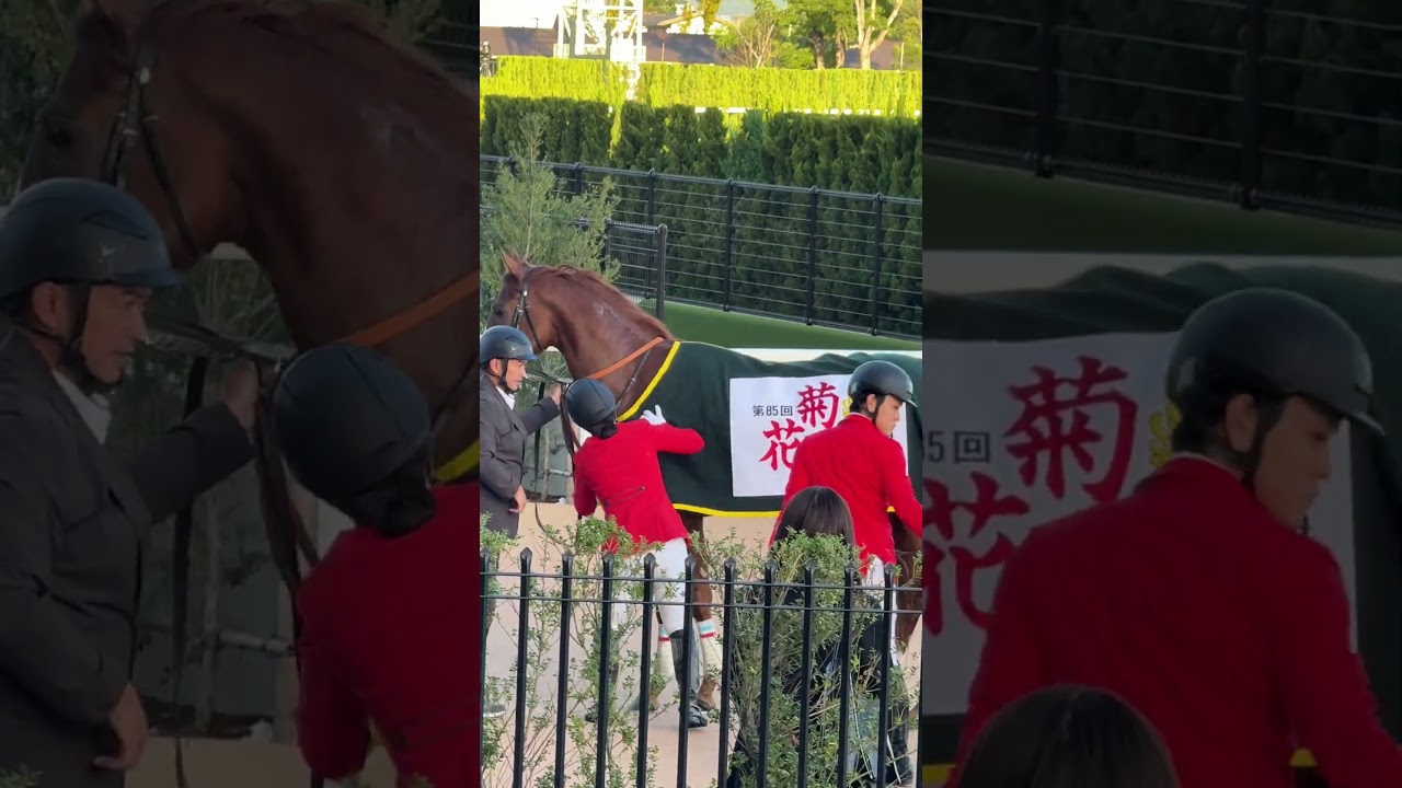 アーバンシック🐴菊花賞優勝👑