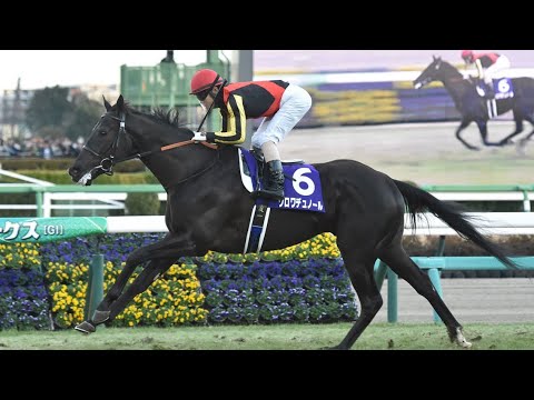 【皐月賞・登録馬】無敗王者クロワデュノールが絶対の主役 サトノシャイニングラ逆転目指し競争勢も多士済々