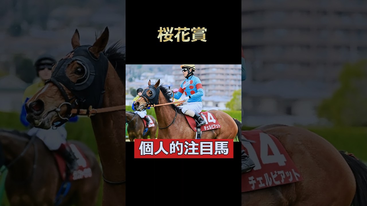 父の勢いもらい狙うは大駆け！チェルビアット！桜花賞個人的注目馬！#桜花賞 #チェルビアット