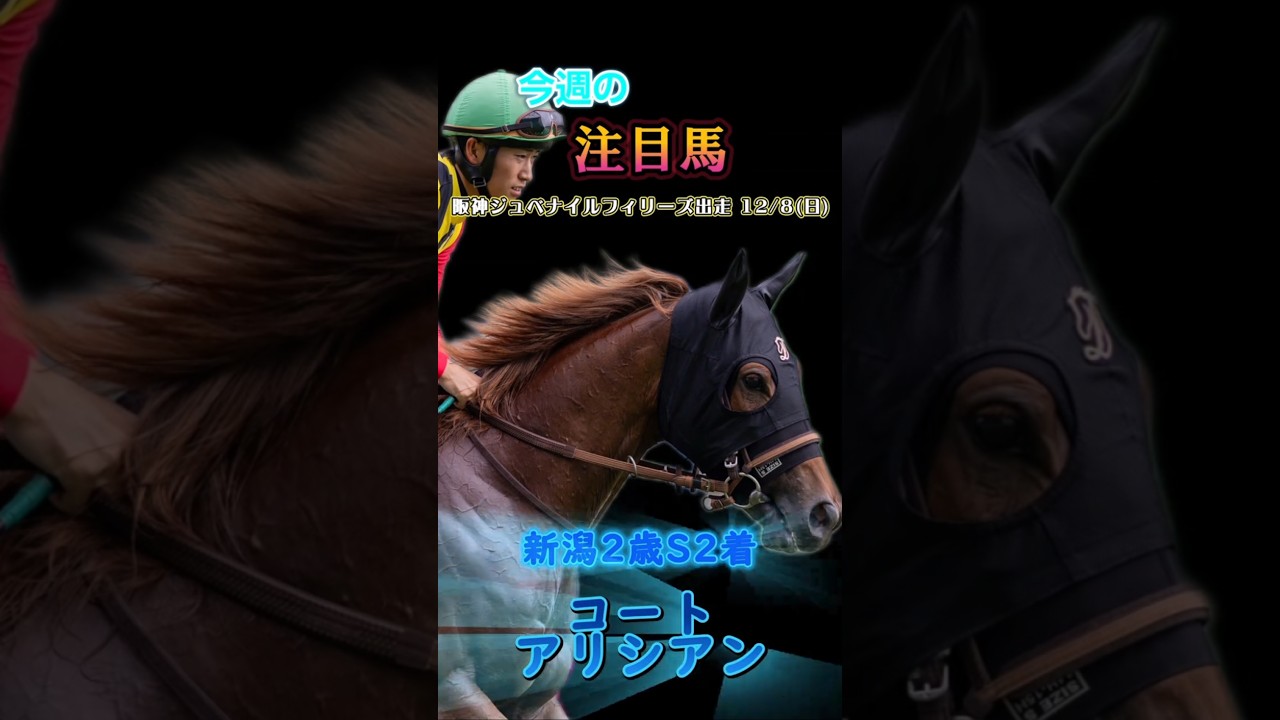 阪神ジュベナイルフィリーズ (34年ぶりの京都開催)と香港国際競走4レースの注目馬! #阪神ジュベナイルフィリー#競馬 #競馬予想 #馬 #shorts