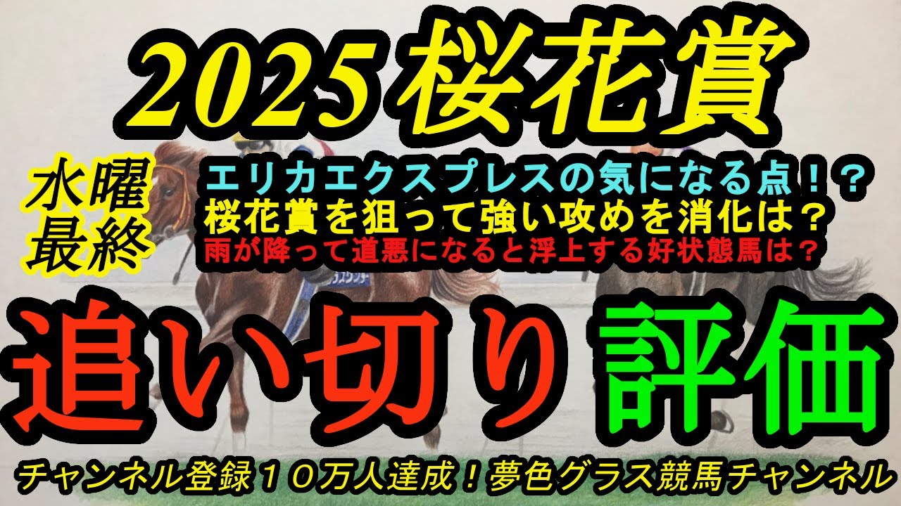 【最終追い切り評価】2025桜花賞！エリカエクスプレスのここ2週で気になる点は！？雨が降って重馬場になったら面白い存在は？