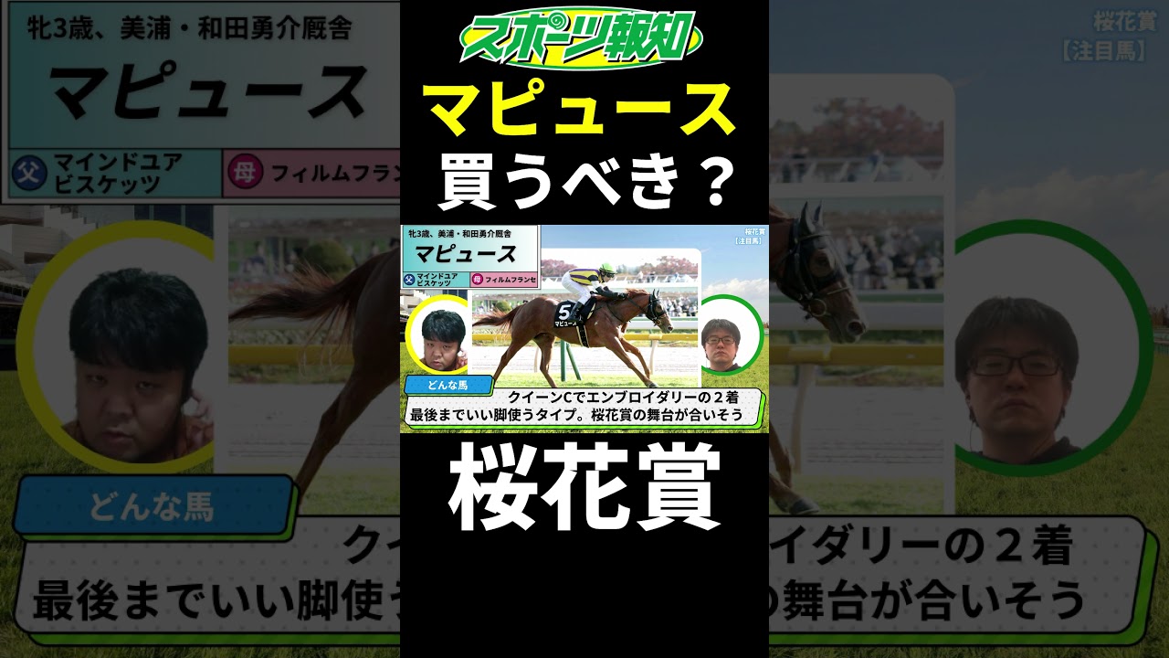【桜花賞2025】マピュースは買うべき？能力比較は？不安要素も徹底解説
