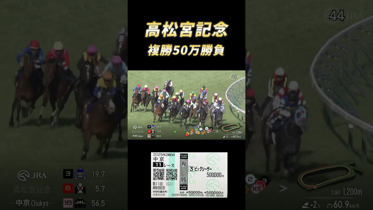高松宮記念で金借りて複勝50万勝負で人生捲りにいきました#shorts