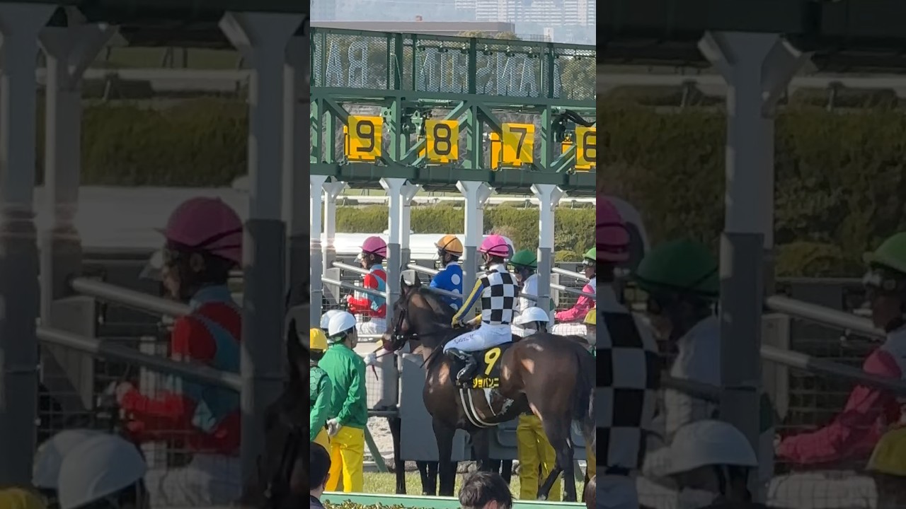 【競馬】皐月賞トライアル｢若葉ステークス｣ゲートからスタートまで#shorts