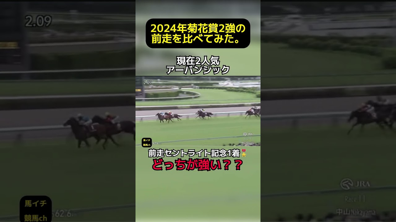 【2024年 菊花賞 2強の前走を比べてみた】どっちが強い？ #菊花賞 #競馬 アーバンシック #ダノンデサイル