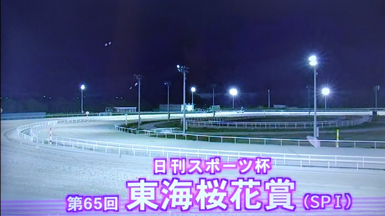2025/4/8 名古屋競馬11R 第65回東海桜花賞(SP1・名古屋グランプリTR)【東海4冠馬フークピグマリオンVSアナザートゥルースら強力遠征勢】