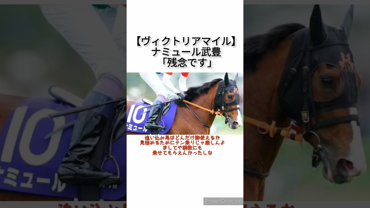 【ヴィクトリアマイル】ナミュール武豊 「結果を出せず残念です」　 #競馬