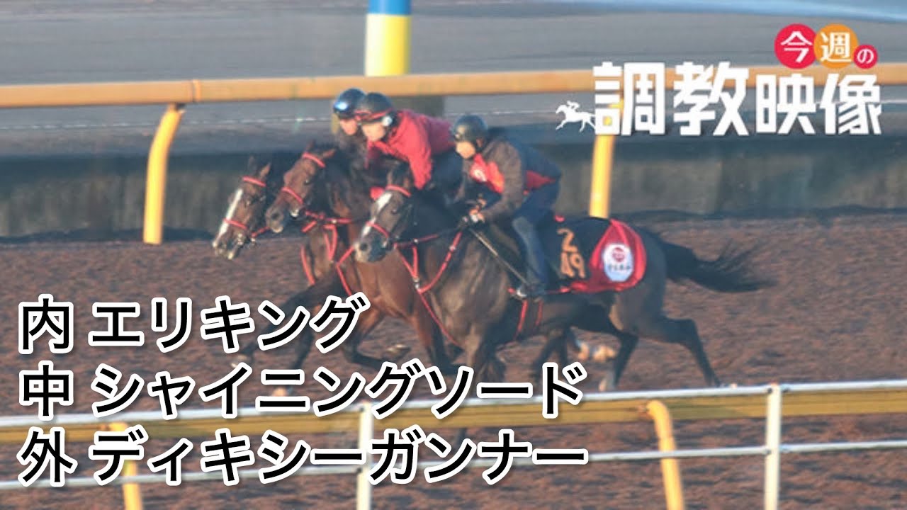 【F馬調教】 エリキング 皐月賞 1週間前追い切り(中シャイニングソード、外ディキシーガンナー)