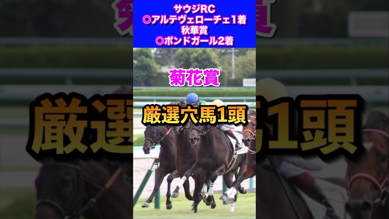 【菊花賞2024厳選穴馬1頭】秋華賞◎ボンドガール5人気2着🎯