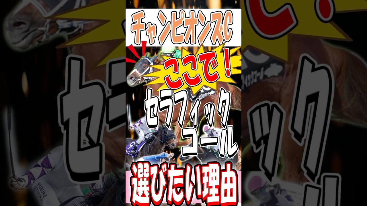 【チャンピオンズカップ2024】当てたいならセラフィックコール入れなきゃ損する！？買いたい理由を教えます！#セラフィックコール #チャンピオンズカップ #馬券予想 #ぴよのけいば