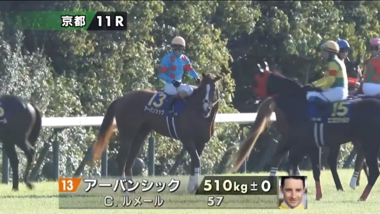 2024 第85回菊花賞〔GⅠ〕本馬場入場