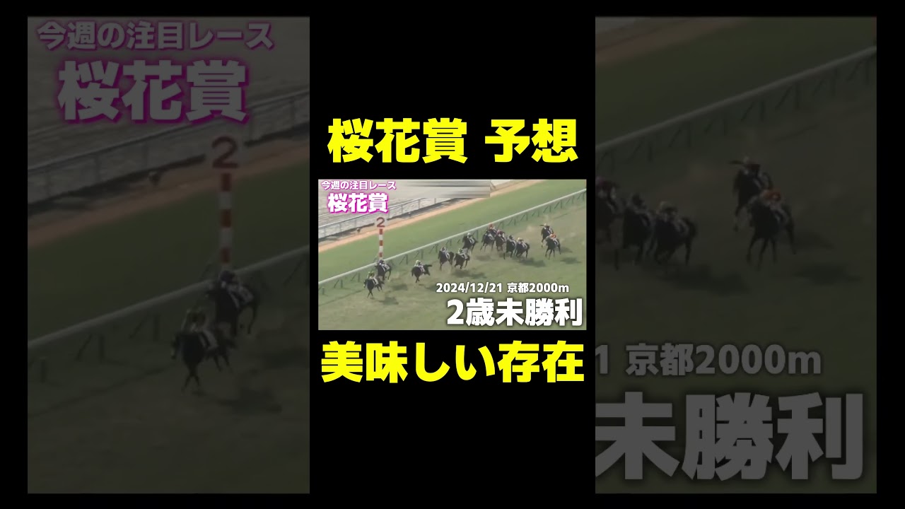 桜花賞で狙いたい存在　#競馬 #競馬予想 #桜花賞