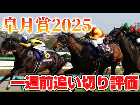 皐月賞2025 一週前追い切り評価