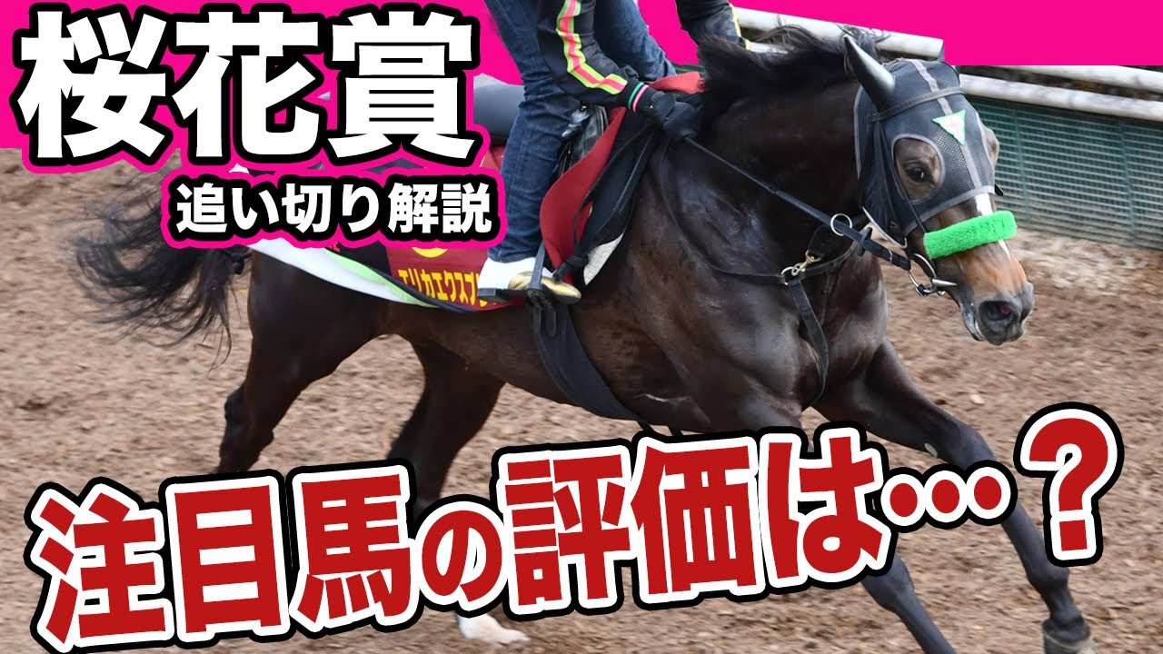【桜花賞２０２５】各出走馬の追い切りを東西記者が徹底解説！