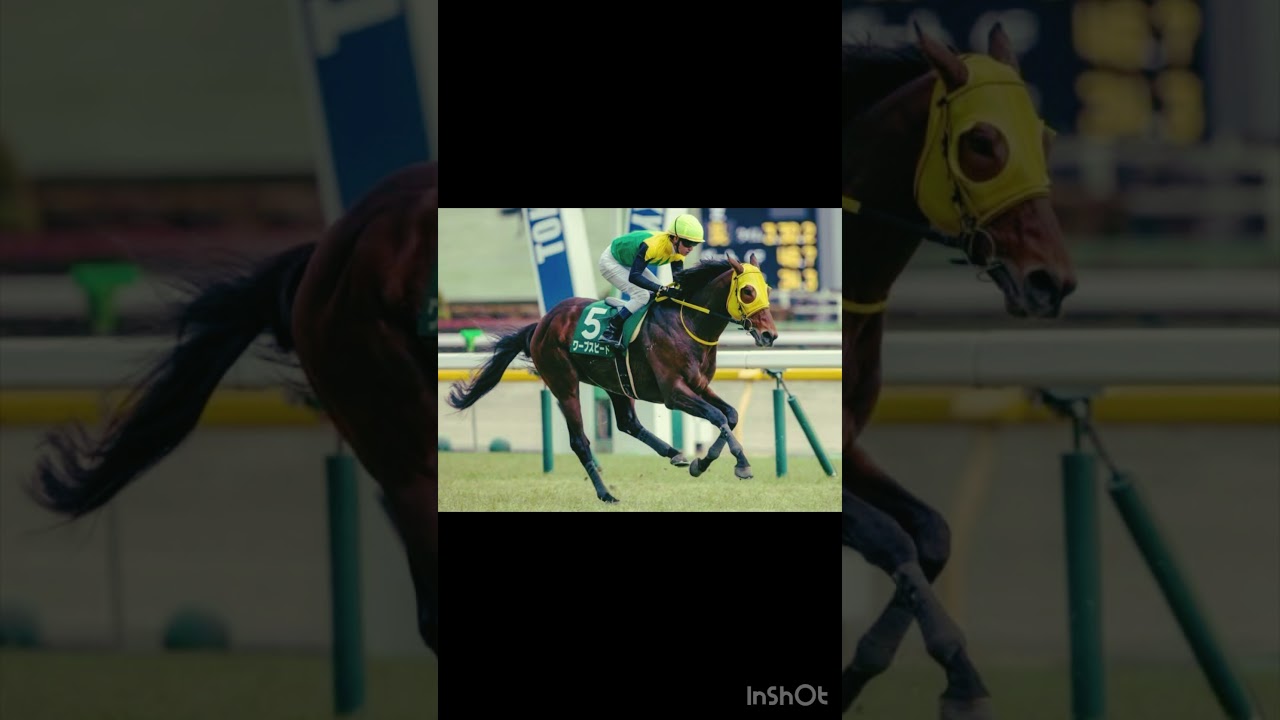 【天皇賞春2024軸馬予想】2頭のオッズが抜けているが果たして！？#競馬予想 #天皇賞春 #天皇賞春予想 #shrots
