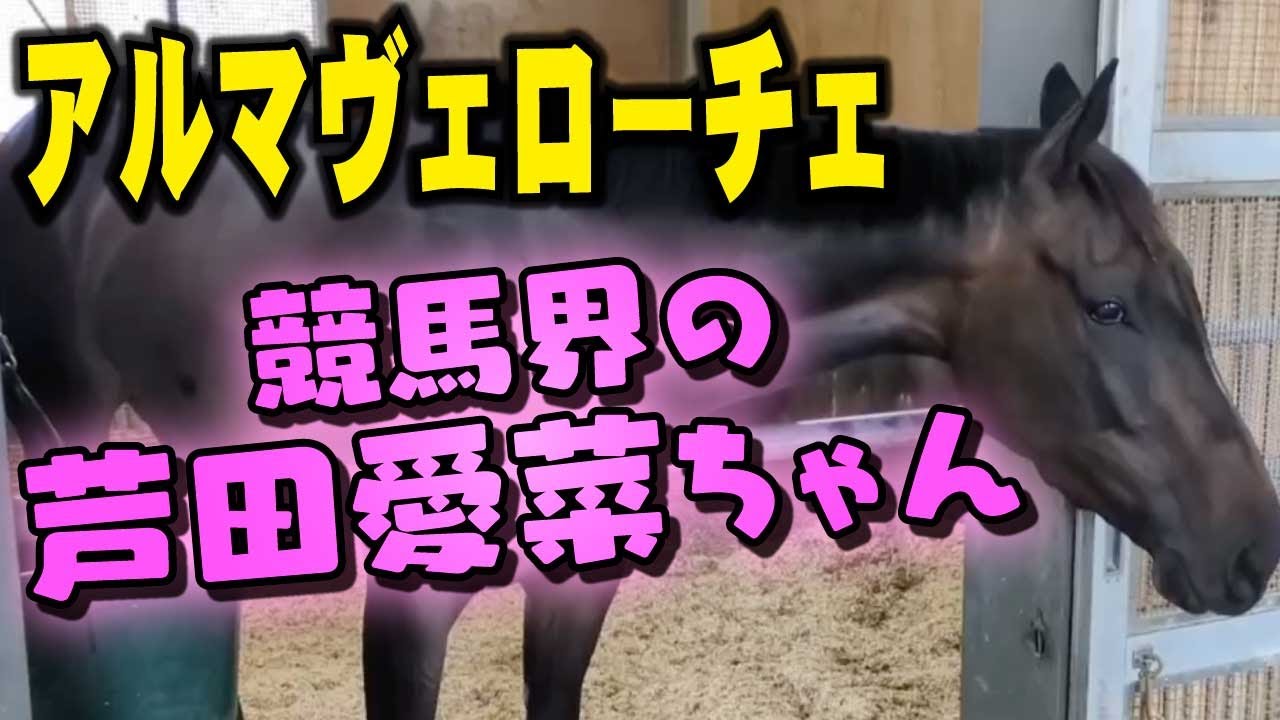 【桜花賞2025】２歳女王が堂々の登場！アルマヴェローチェは競馬界の芦田愛菜ちゃん？撮影してきた和田記者が熱弁してくれています！