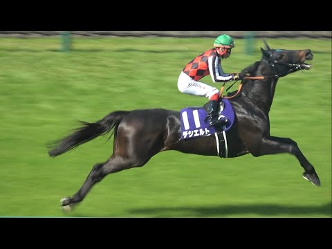 【現地】2025デシエルトの連続飛びで盛り上がる【大阪杯 返し馬 阪神競馬場】