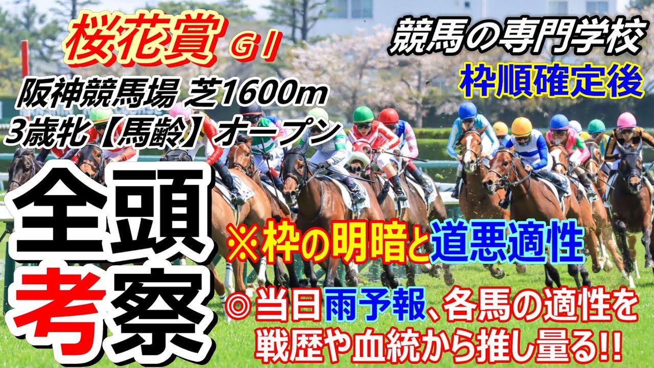 【桜花賞2025】全頭考察 各馬の道悪適性は把握出来ていますか？