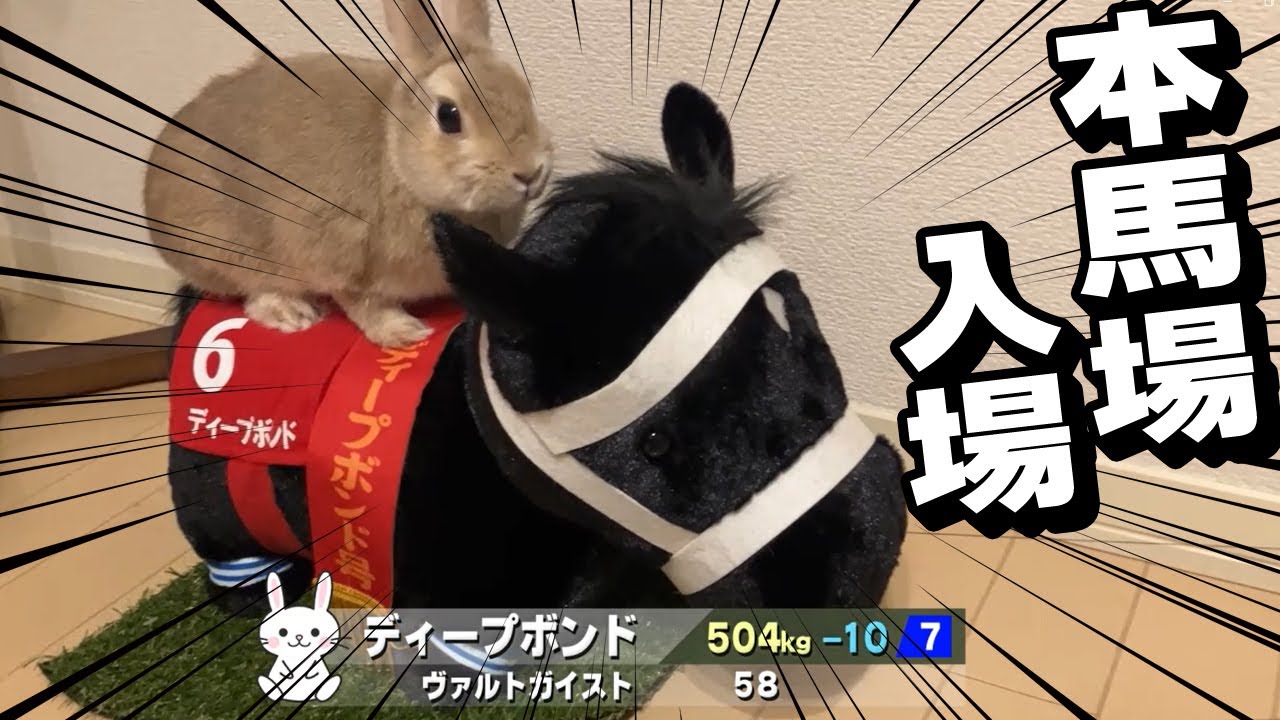 【本馬場入場】天皇賞春G1 ディープボンド×ヴァルトガイスト