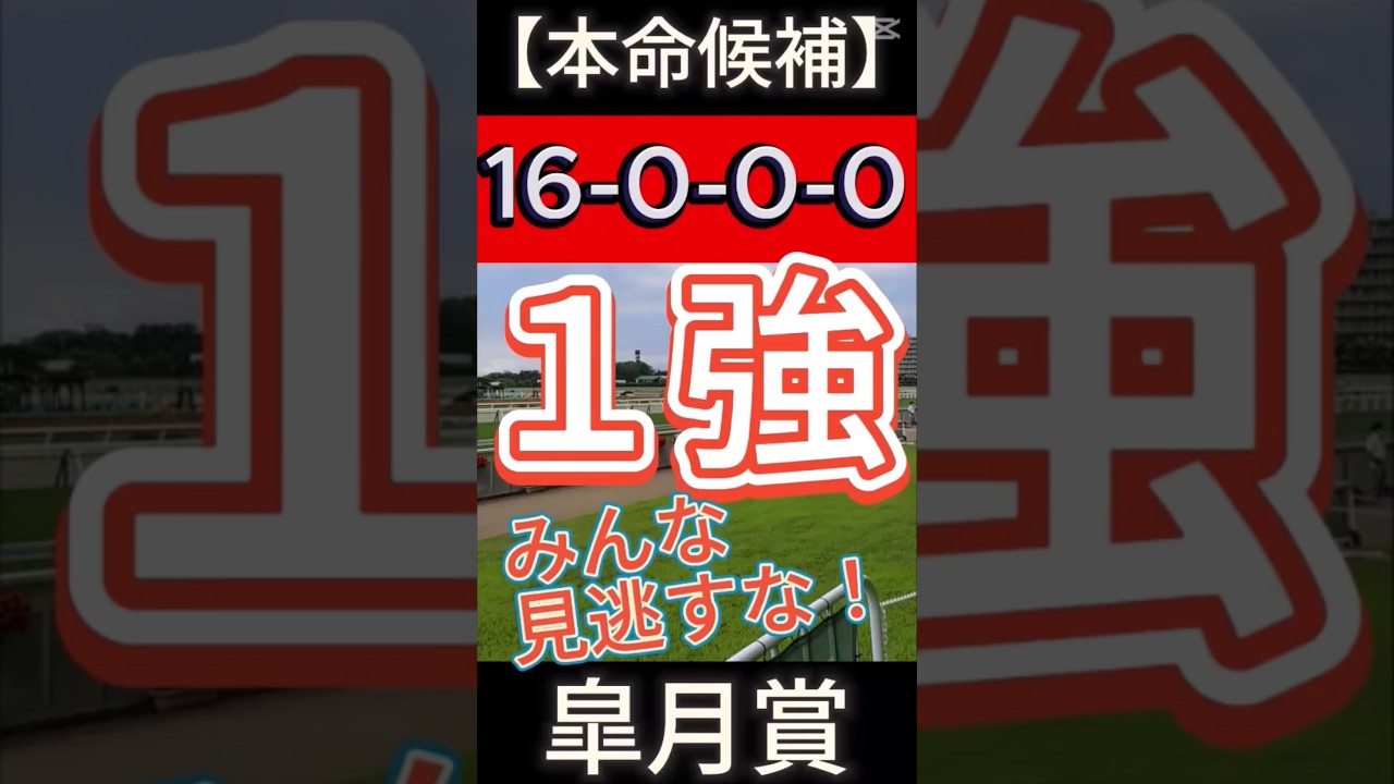 皐月賞 2025 （16-0-0-0）みんな見逃すな！１強！（ ● 春G1回収率 255％！）#競馬