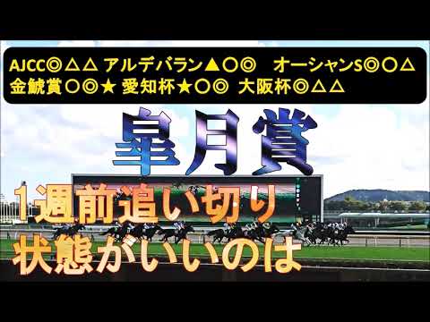 皐月賞2025　1週前追い切り　馬なりで古馬OPを子ども扱い。