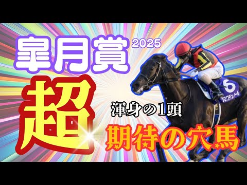 【皐月賞2025】想定二桁人気の超穴馬が４つのポイントを知るだけでとんでもなく買えます！！得意レースだけあって渾身の穴馬１頭！！