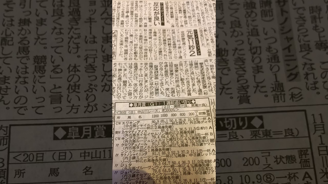 #競馬 #競馬予想 皐月賞追い切り