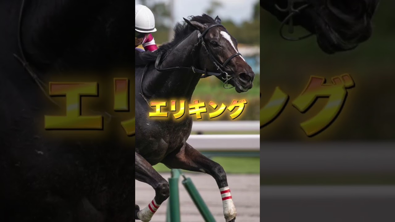 G1皐月賞の注目馬３頭を紹介＃競馬＃競馬予想＃クロワデュノール＃サトノシャイニング＃エリキング