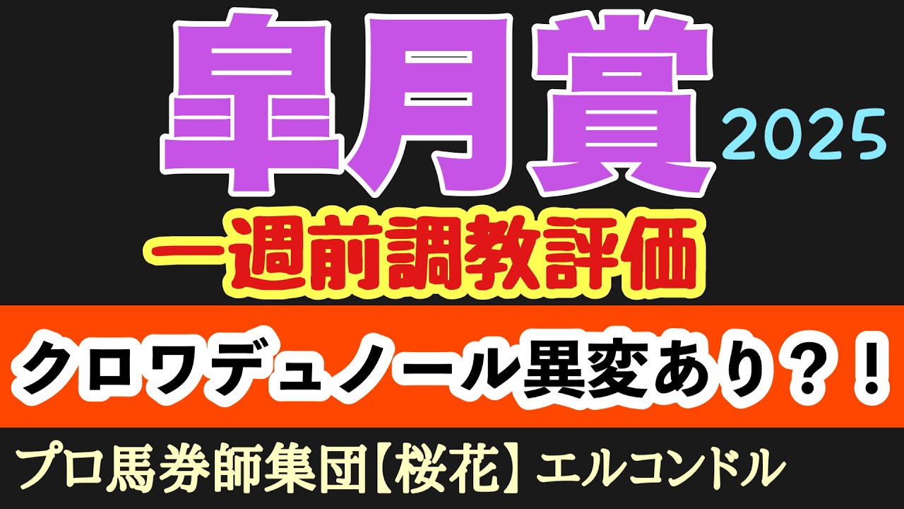 エルコンドル氏の皐月賞2025一週前調教評価！！大一番に向け各馬上々の仕上がり？！甲乙つけ難し！しかし主役の一頭クロワデュノールに気になる部分あり！