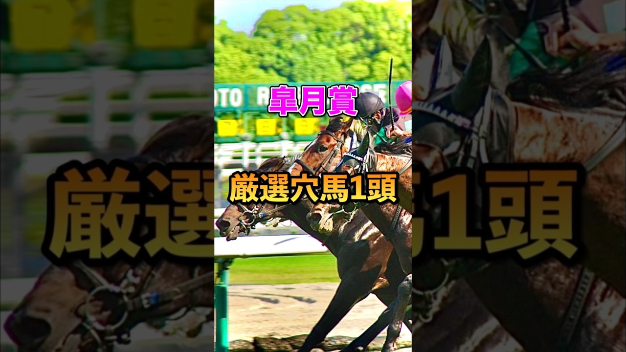 【皐月賞2025】厳選穴馬1頭