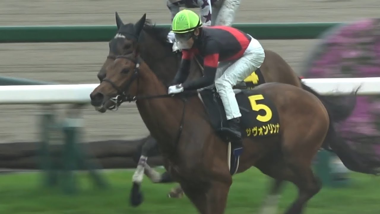 【現地】2025 忘れな草賞 サヴォンリンナ 北村友一【阪神競馬場 オークストライアル】