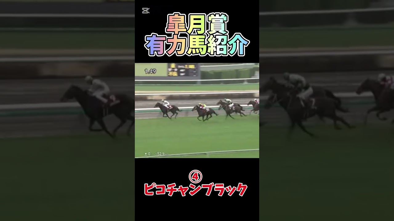 [皐月賞]有力馬参考レース！#皐月賞 #クロワデゥノール