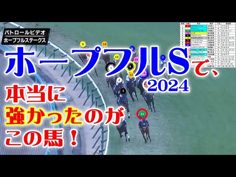 ホープフルS2024をパトロールビデオで振り返ったら、皐月賞2025が見えてきた！