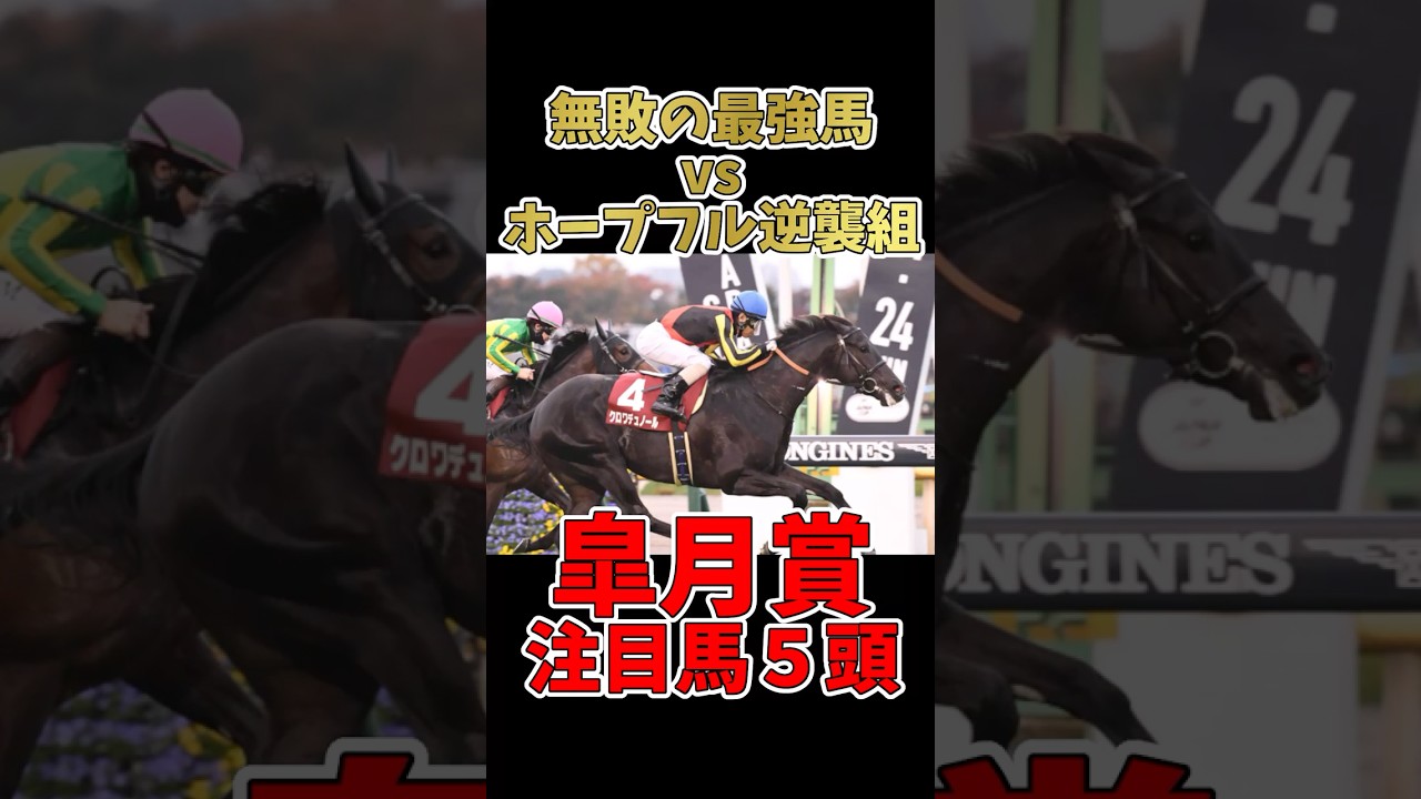 【競馬】「無敗馬 vs ホープフル組の逆襲！ 皐月賞注目馬5頭」#皐月賞 #クラシック #競馬予想 #クロワデュノール #サトノシャイニング #エリキング #ジョバンニ #ファウストラーゼン #無敗馬