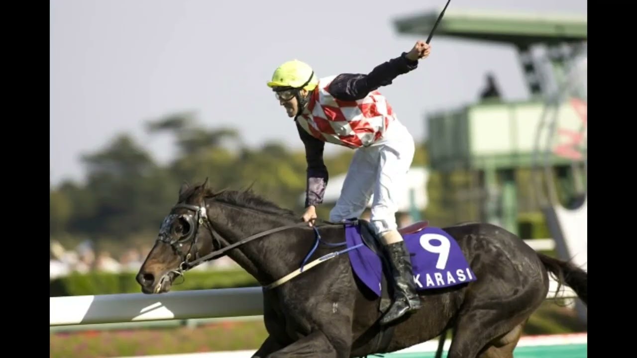 【Special Times】中山グランドジャンプ編