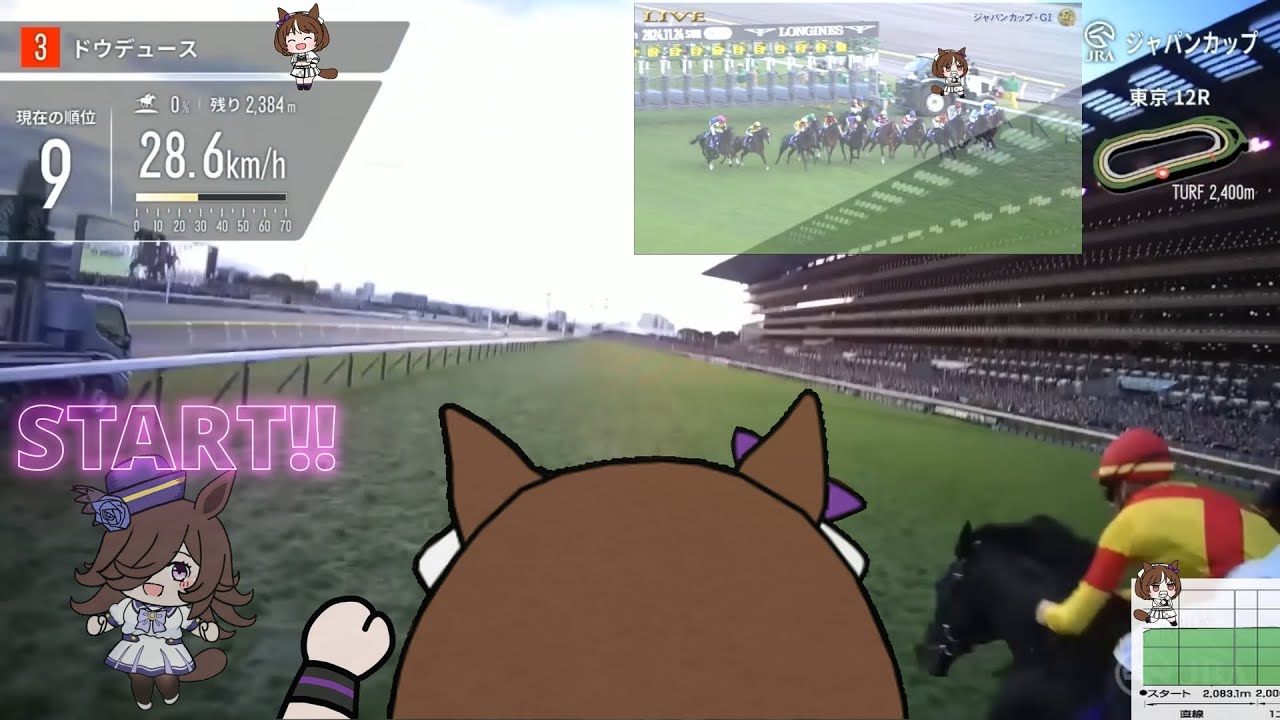 【たぬき】2024年 第４４回ジャパンカップ　ドウデュース【ウマ娘】