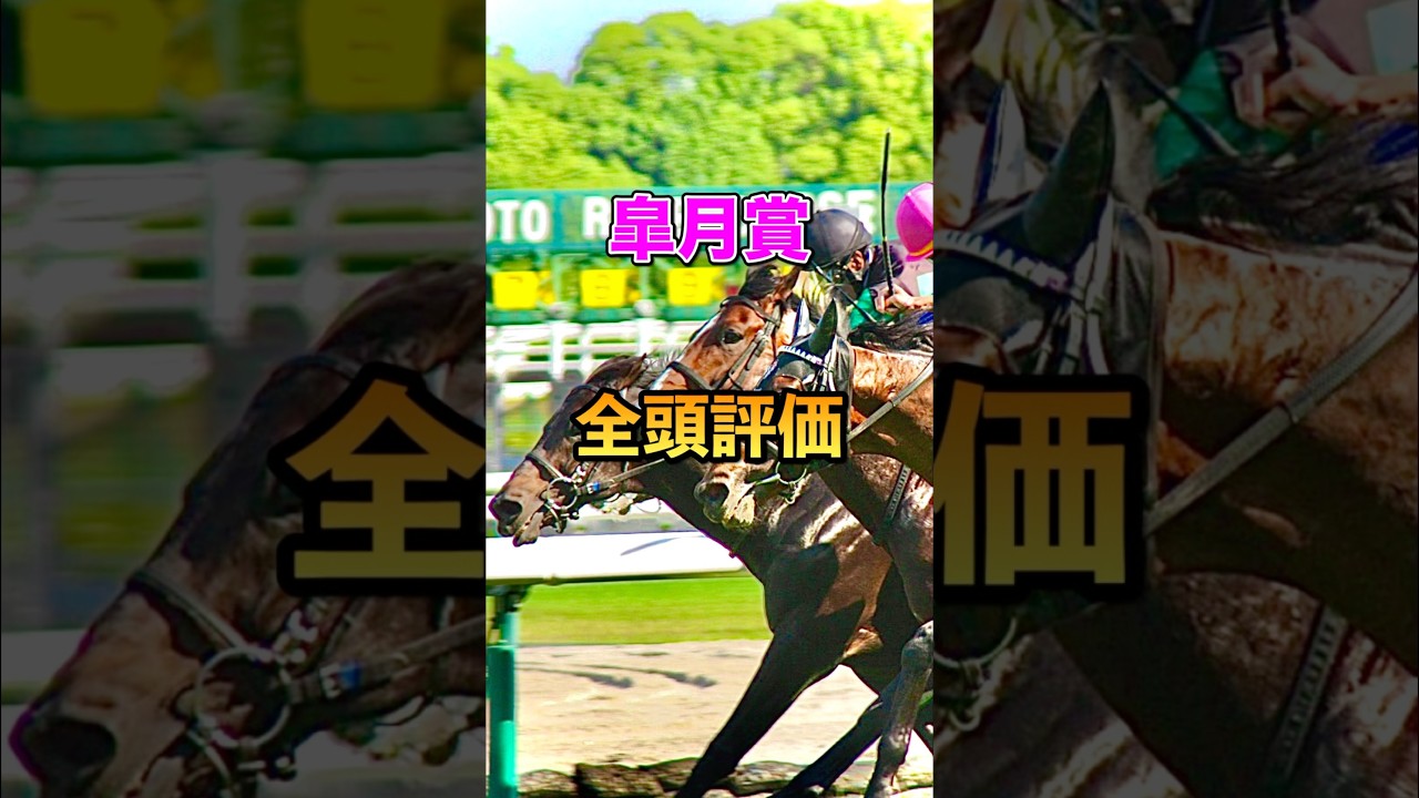 【皐月賞2025】全頭評価