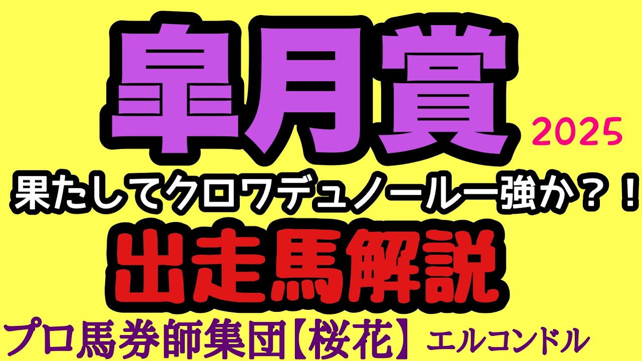 エルコンドル氏の皐月賞2025出走馬解説！！前哨戦の内容から今年の３歳は実力は拮抗気味！？クロワデュノール一強ではない？！無敗エリキングの存在も気になる！