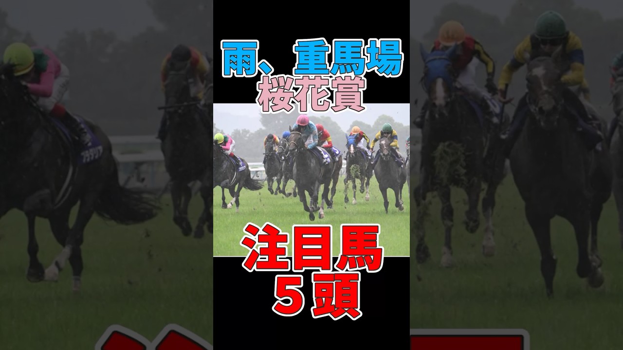 【競馬】雨の桜花賞！重馬場で注目の馬5頭！ #桜花賞 #重馬場 #注目馬 #ダンツエラン #ヴーレヴー #アルマヴェローチェ #競馬予想 #クリノメイ #リンクステップ #エリカエクスプレス